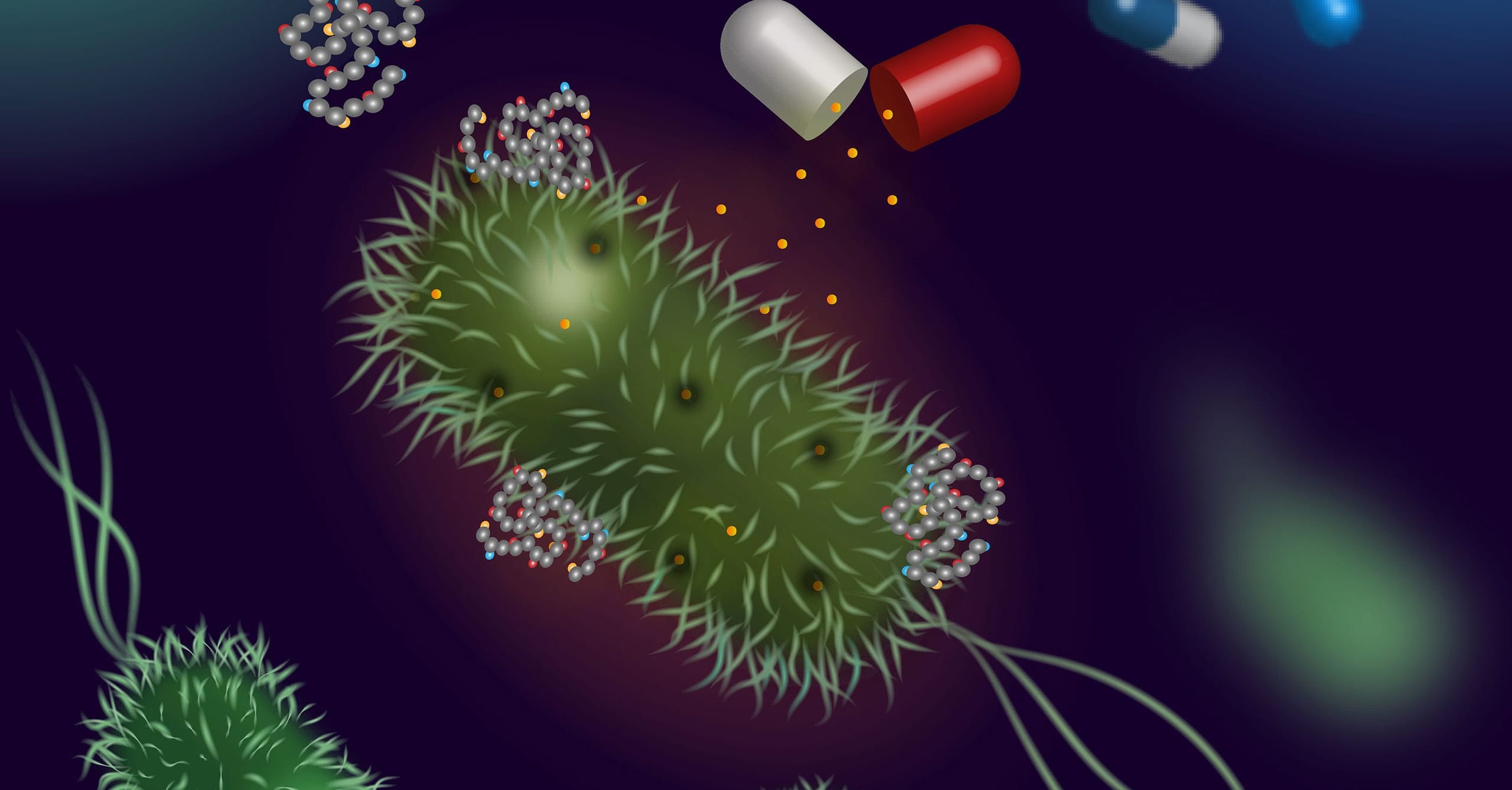 Illustration of bacteria interacting with a red and white capsule, representing medication targeting microbial cells.