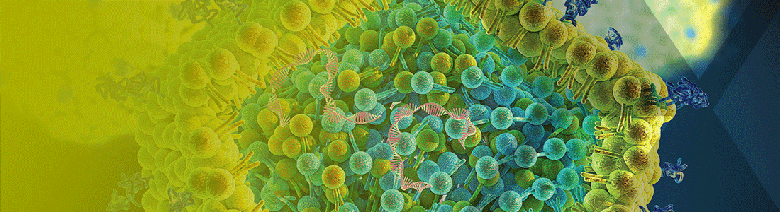 Lipid nanoparticle (LNP) packaged mRNA