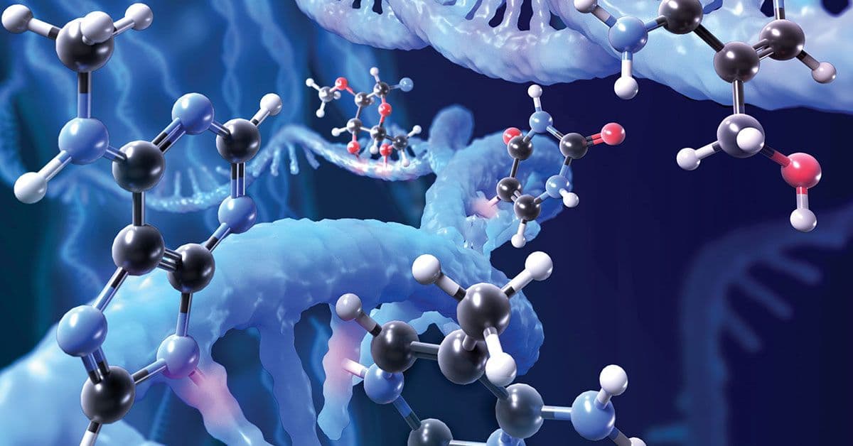 An image of a dna molecule.
