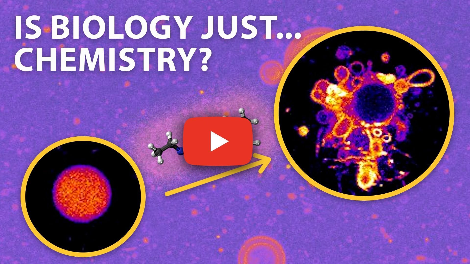 A youtube thumbnail depicting images of vesicle "budding" from the video, with the title "It looks like life, but… | Headline Science"
