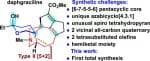 Total Synthesis of Yuzurine-type Alkaloid Daphgraciline