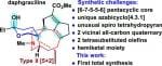 Total Synthesis of Yuzurine-type Alkaloid Daphgraciline