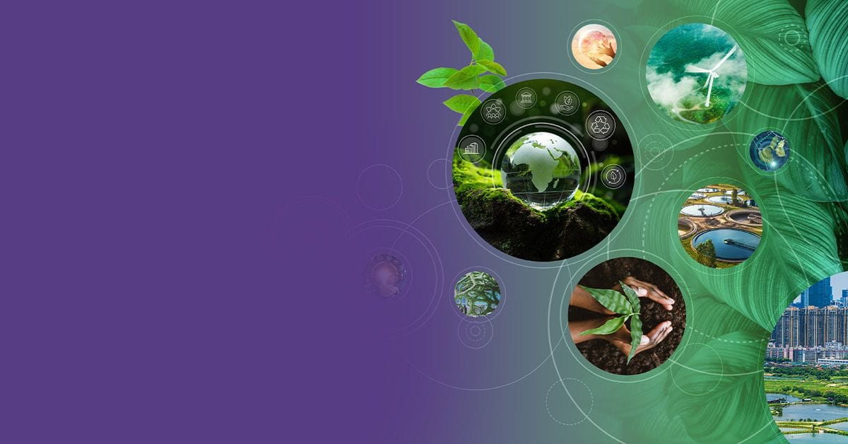 A collage of sustainability images