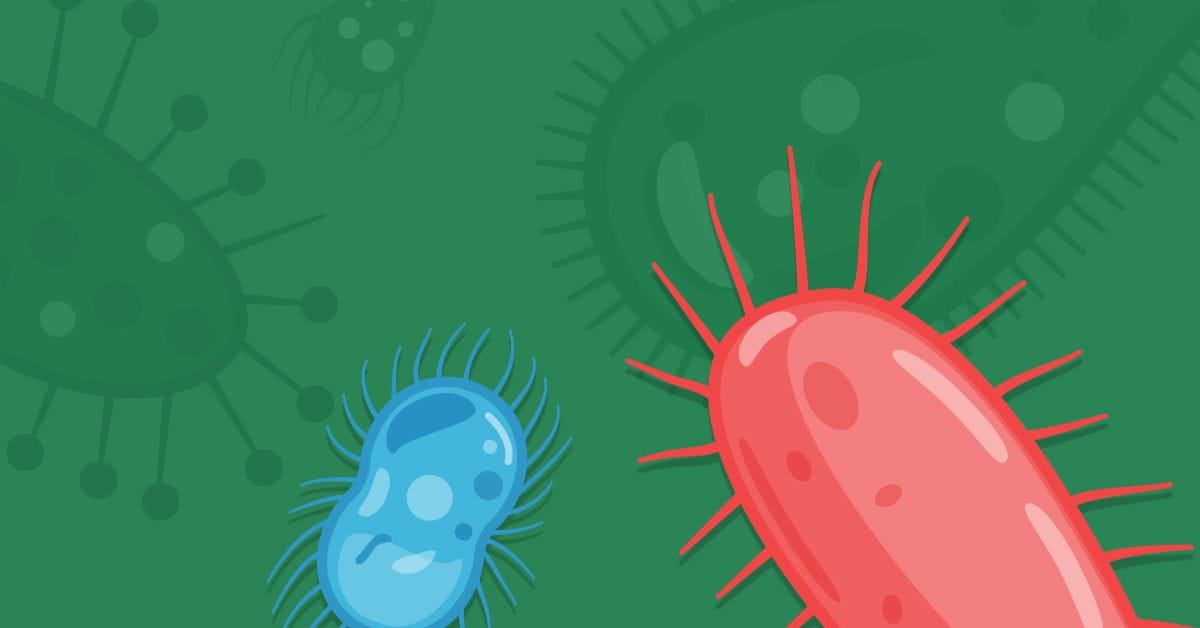 digital art featuring infectious bacteria