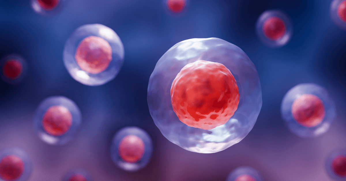 3D-rendered microscopic view of human cells with red nuclei suspended in a blue fluid-like environment.