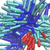 An image from the article: Ground state molecular dynamics simulation of compound 10.