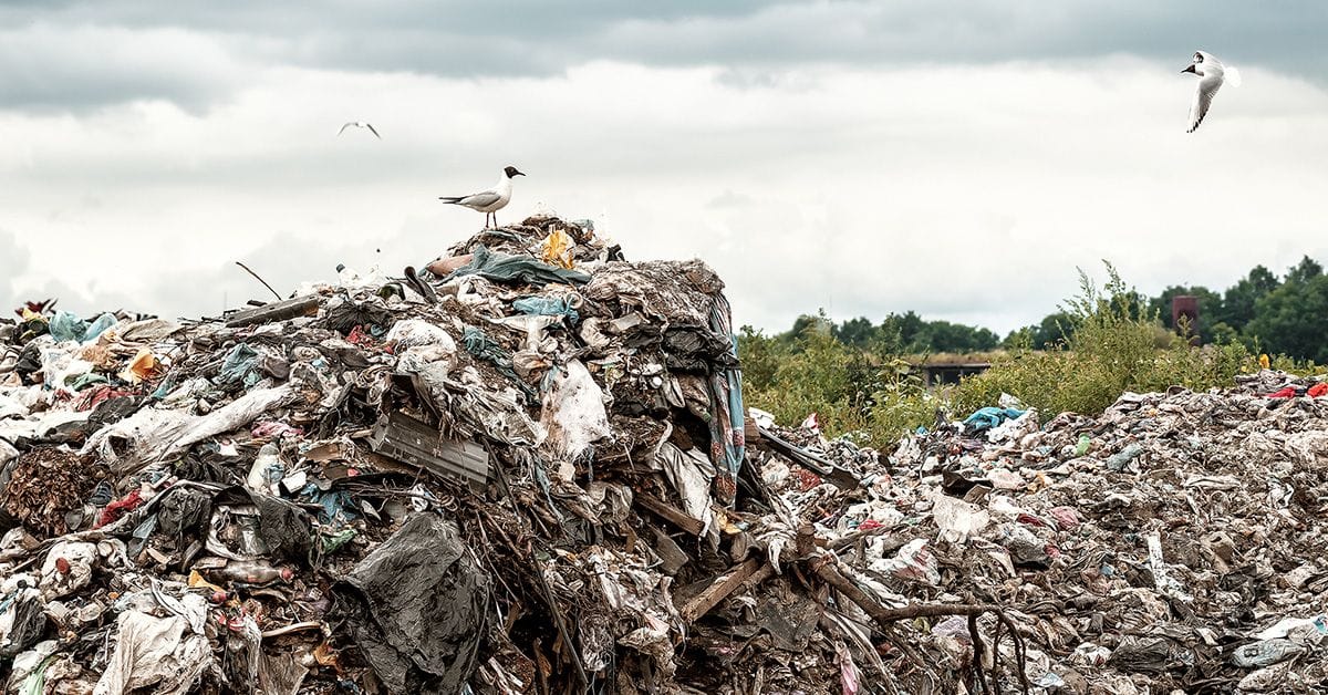 A large pile of garbage with seagulls perched on and flying above it, set against a cloudy sky and surrounding greenery.