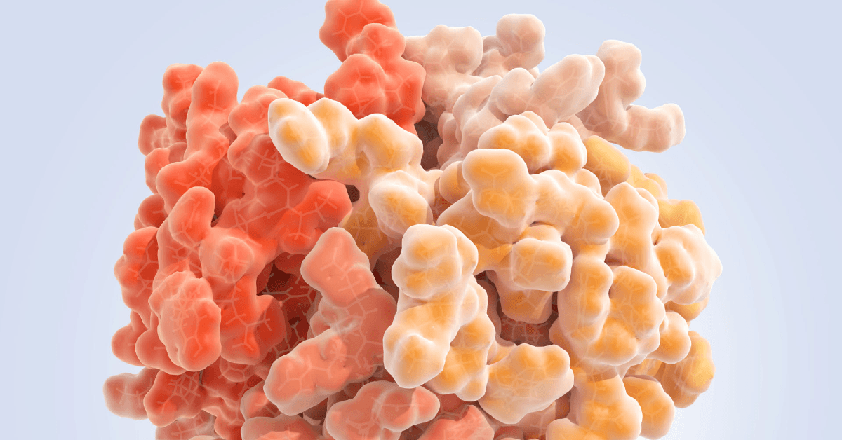 Close-up of a folded protein surface model with interconnected lobes and cavities, colored in orange, peach, and cream tones.