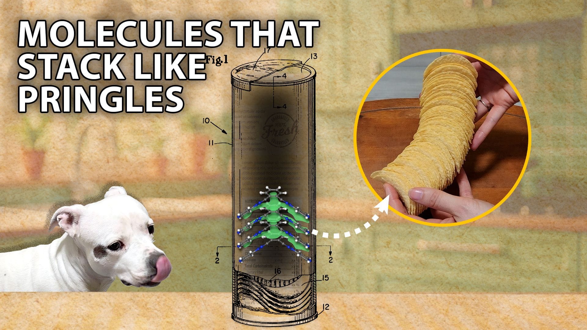 An Illustration of a cylindrical container with a diagram showing stacked chips inside, alongside a photo of a hand holding a neat stack of Pringles chips, and a white dog looking at the container longingly. Text reads "Molecules that stack like Pringles."