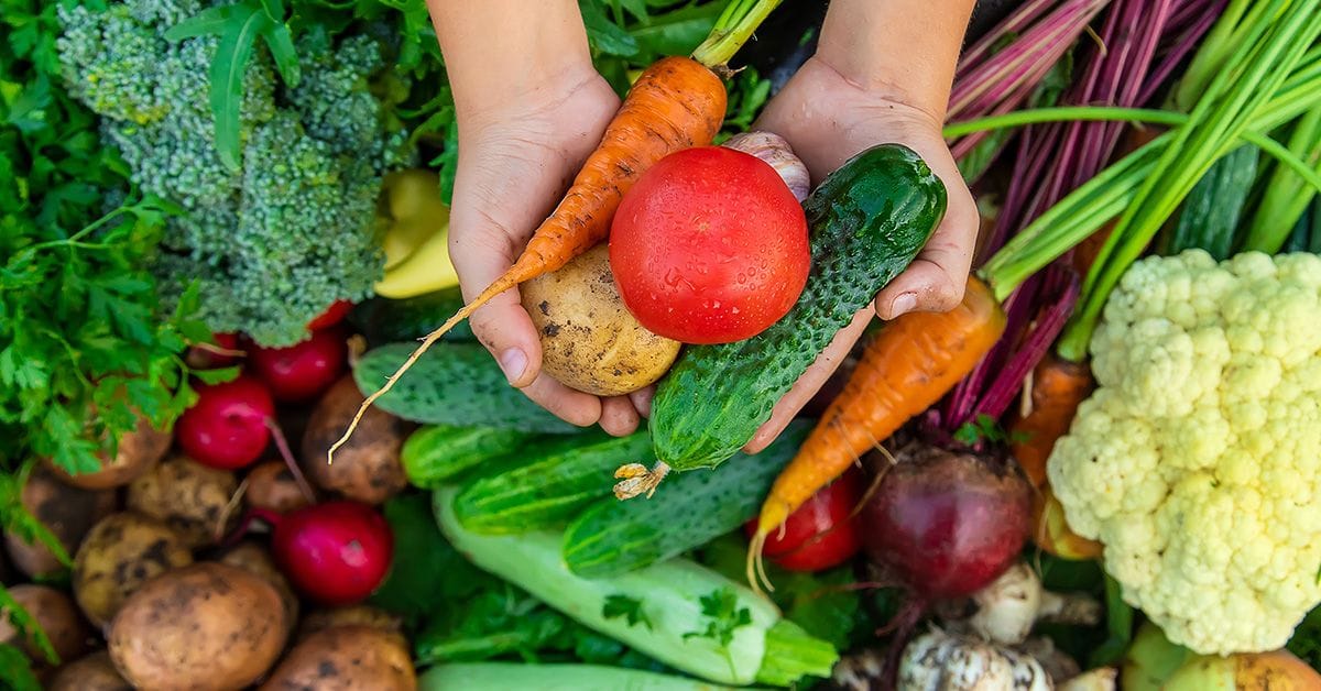 A person's hands hold a fresh red tomato, cucumber, carrot, and potato, surrounded by a colorful array of various vegetables.