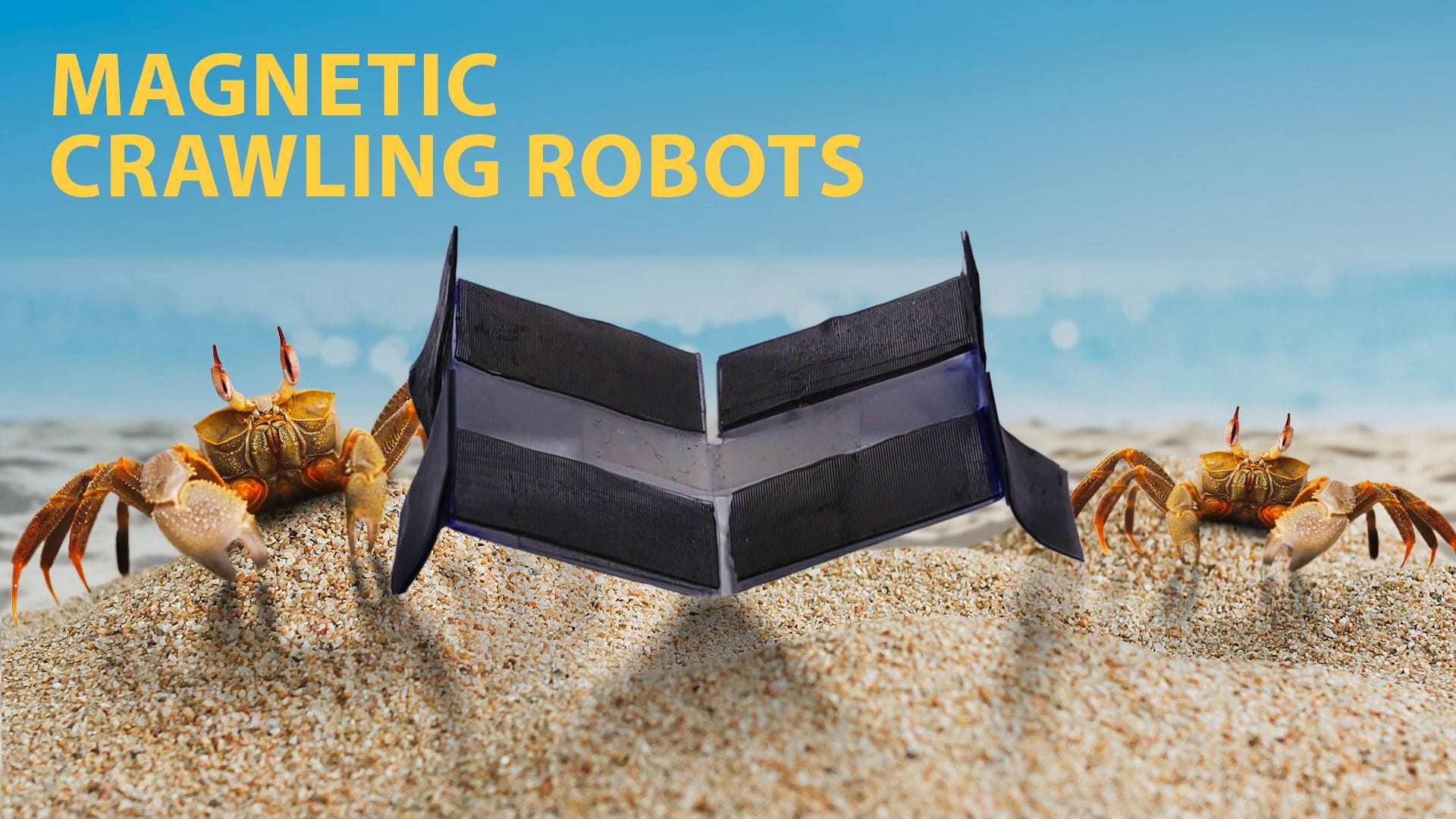 Two orange crabs stand on sandy beach dunes on either side of a small black and purple V‑shaped robotic device, with the ocean and blue sky in the background. Text reads "Magnetic Crawling Robots."
