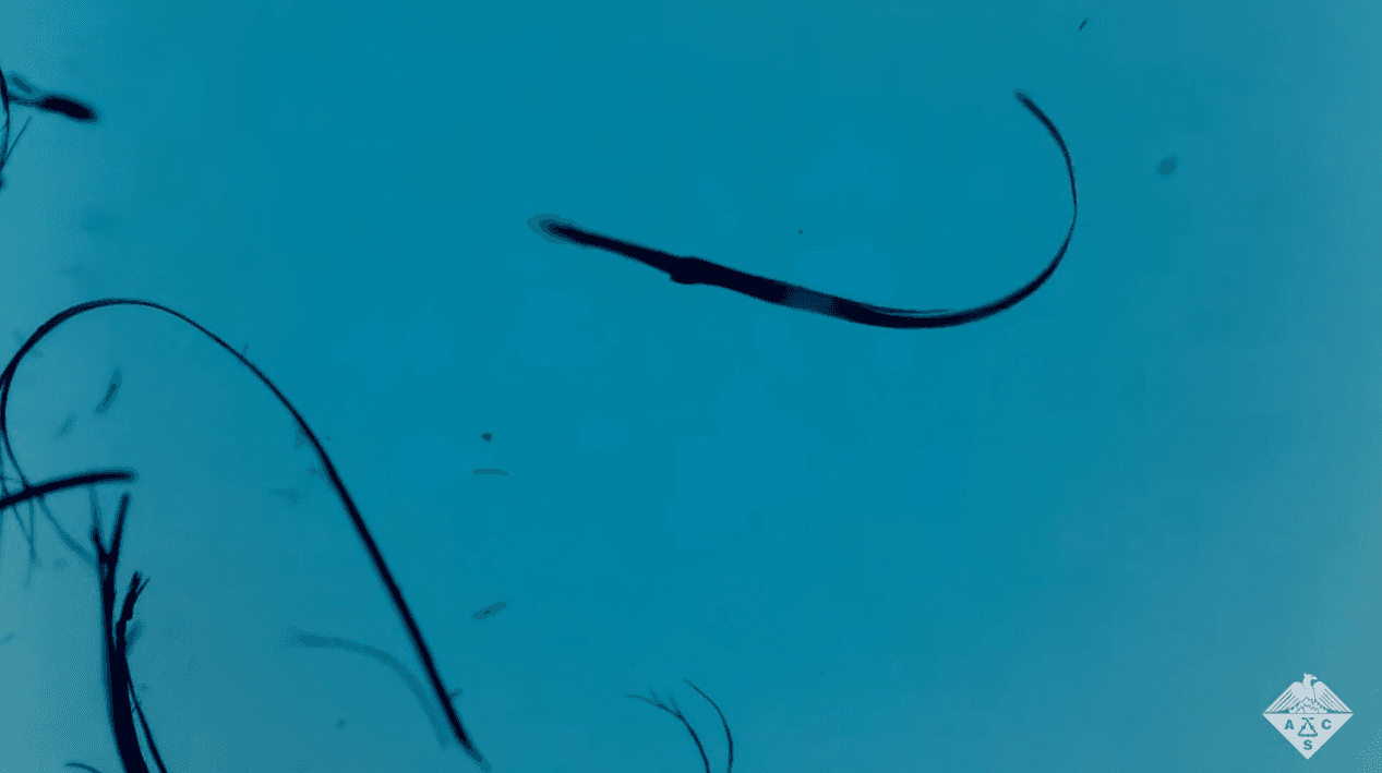 photomechanical crystals in motion