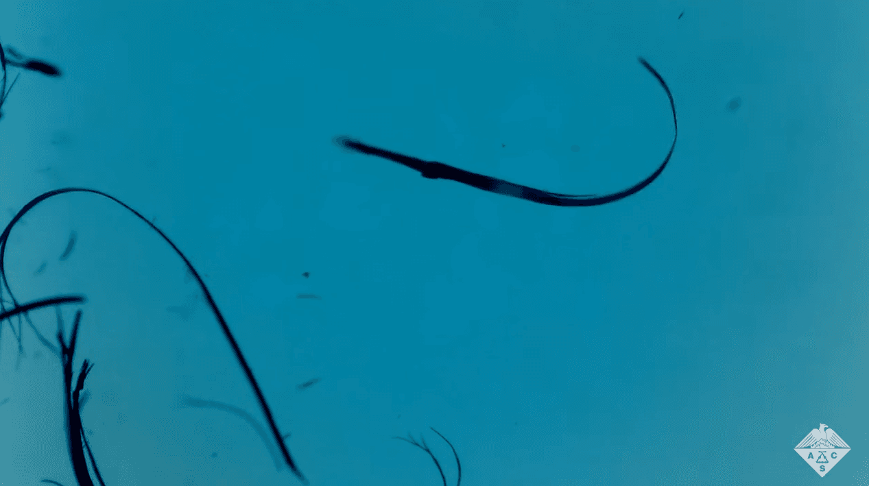 photomechanical crystals in motion