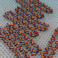 a cyclic peptide that spontaneously folds at the graphite–water interface