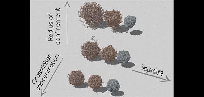 Microgel Particles