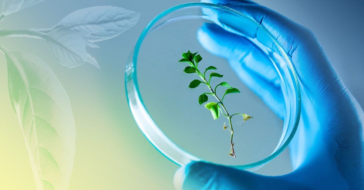 A person holding a glass with a plant in it.