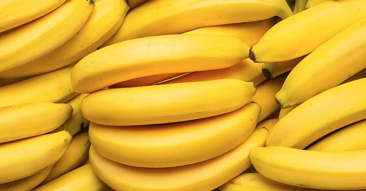 Several bunches of ripe, yellow bananas.