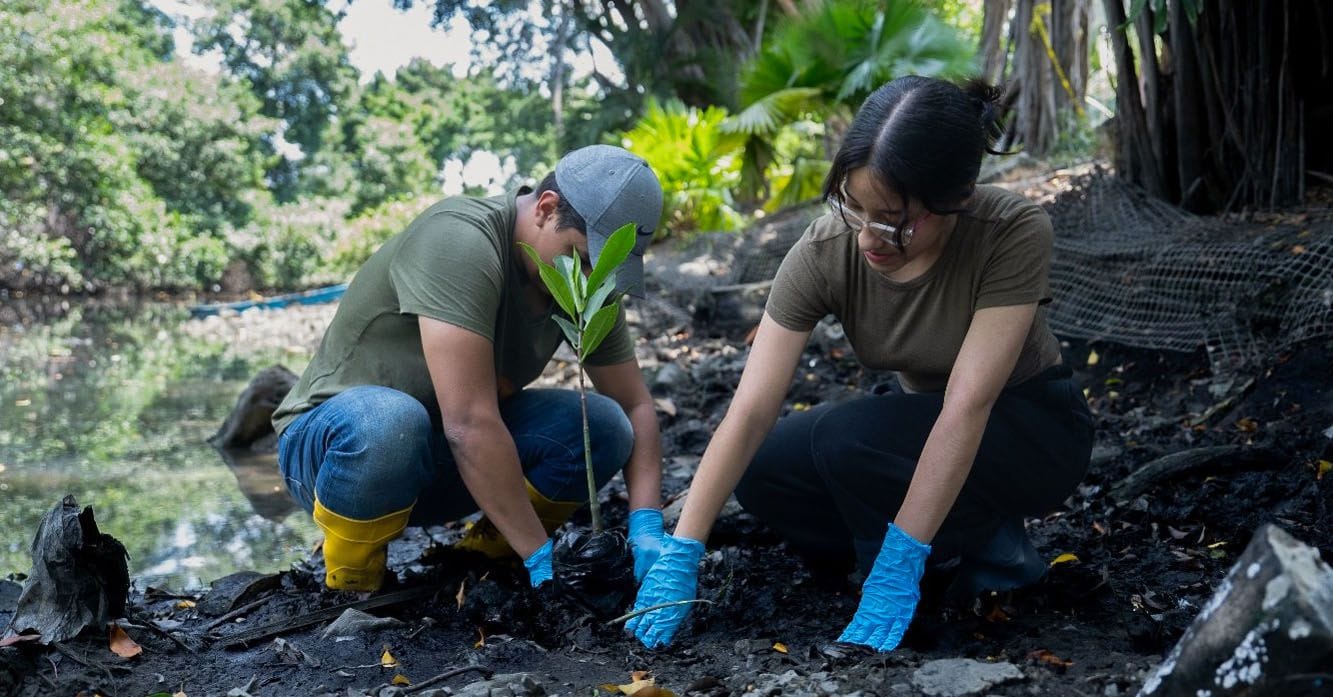 Two volunteers in blue gloves plant a sapling in dark soil beside a tropical waterway.