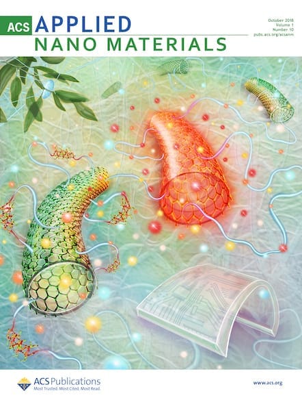 ACS Applied Nano Materials Journal Cover